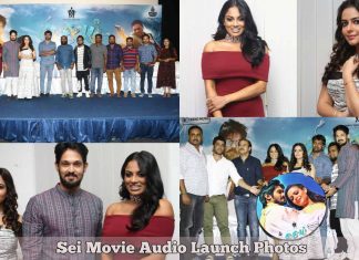 Sei Movie Audio Launch