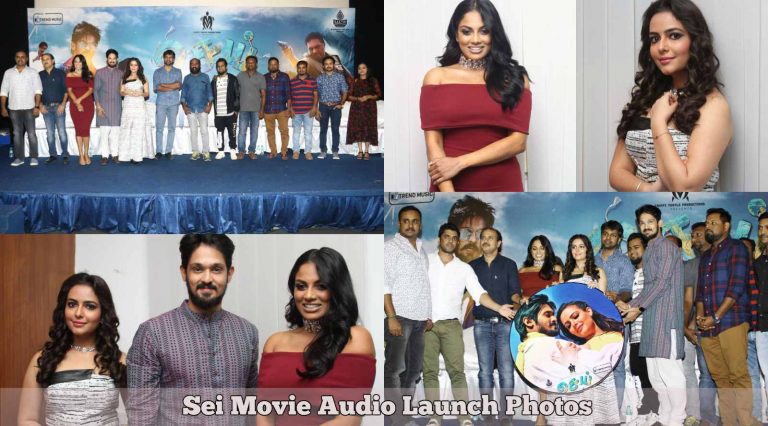 Sei Movie Audio Launch