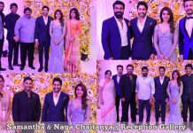 Samantha & Naga Chaitanya's Reception HD Photos