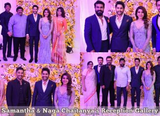 Samantha & Naga Chaitanya's Reception HD Photos