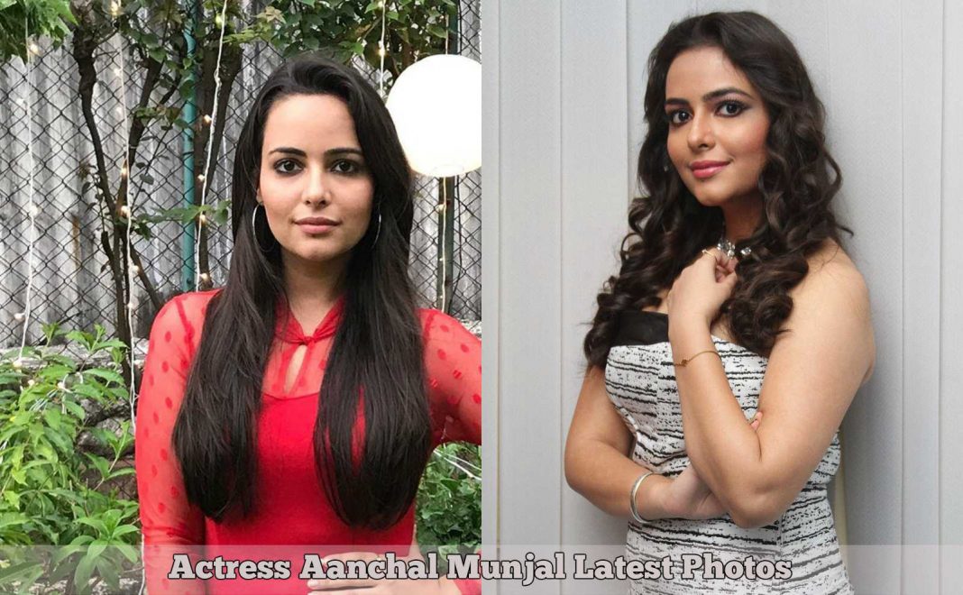 Aanchal Munjal 2017 Latest Cute Photos