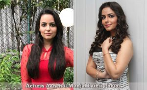 Aanchal Munjal 2017 Latest Cute Photos