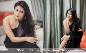 Shalini Pandey Photoshoot Stills