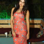 Sanjjanaa Photos (9)