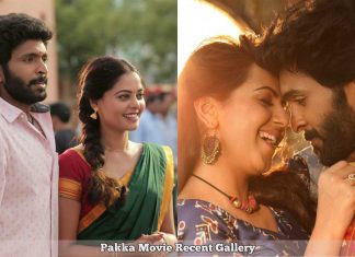 Pakka Movie
