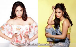 Nandita Swetha 2018 Photoshoot Gallery
