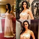 Meenakshi Dixit, collage, half