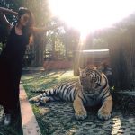 natasha suri in black dress with tiger