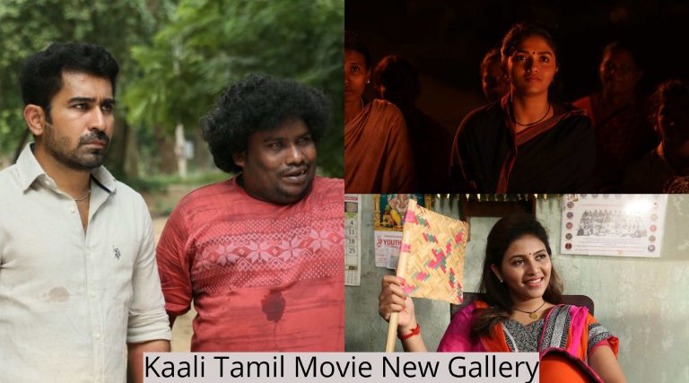 Kaali Tamil Movie New Gallery | Vijay Antony | Sunaina | Anjali