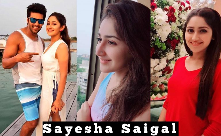 Ghajinikanth Actress Sayyeshaa Saigal 2018 Cute Images