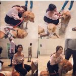 Shriya Saran, dog, pet animal