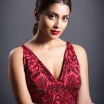 Shriya Saran, red dress, photoshoot