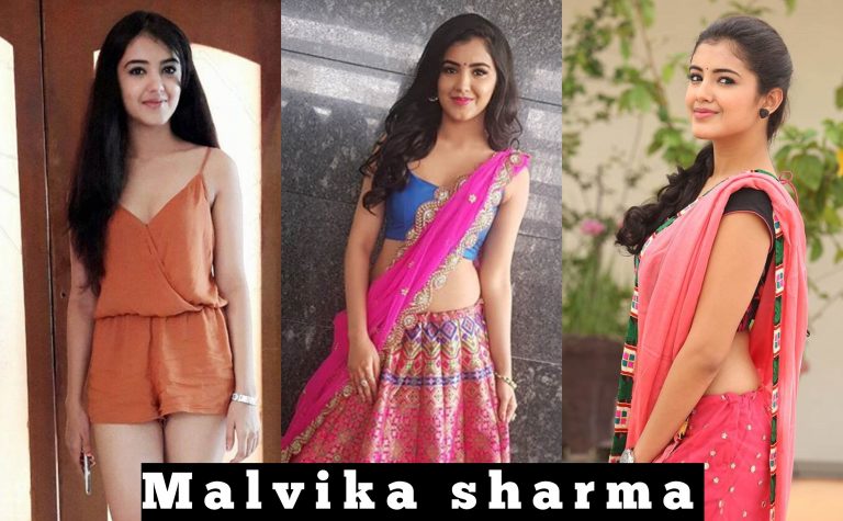 Actress Malvika Sharma 2018 Cute HD Photos