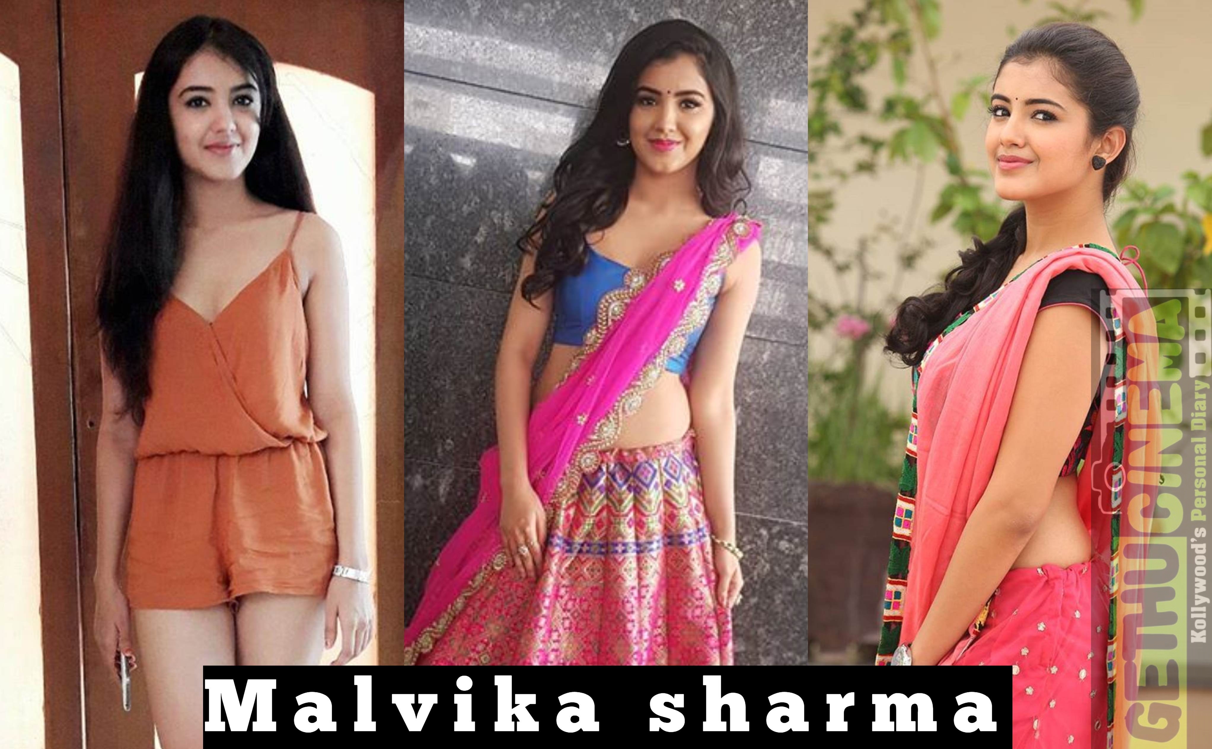 Actress Malvika Sharma 2018 Cute HD Photos - Gethu Cinema