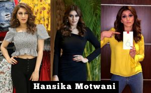 Actress Hansika Motwani 2018 New HD Stills
