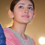 Junga, Sayyeshaa Audio Launch, best picture