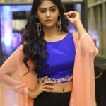 Palak Lalwani, Kuppathu raja Heroine,  2018, Photo Shoot