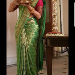 Vedhika traditional saree look photo  (10)