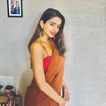 anaika soti photo brown saree red and white sleeveless blouse (26)