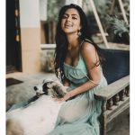 Amala Paul, dog, new look