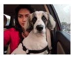 Amala Paul, selfie, car, dog