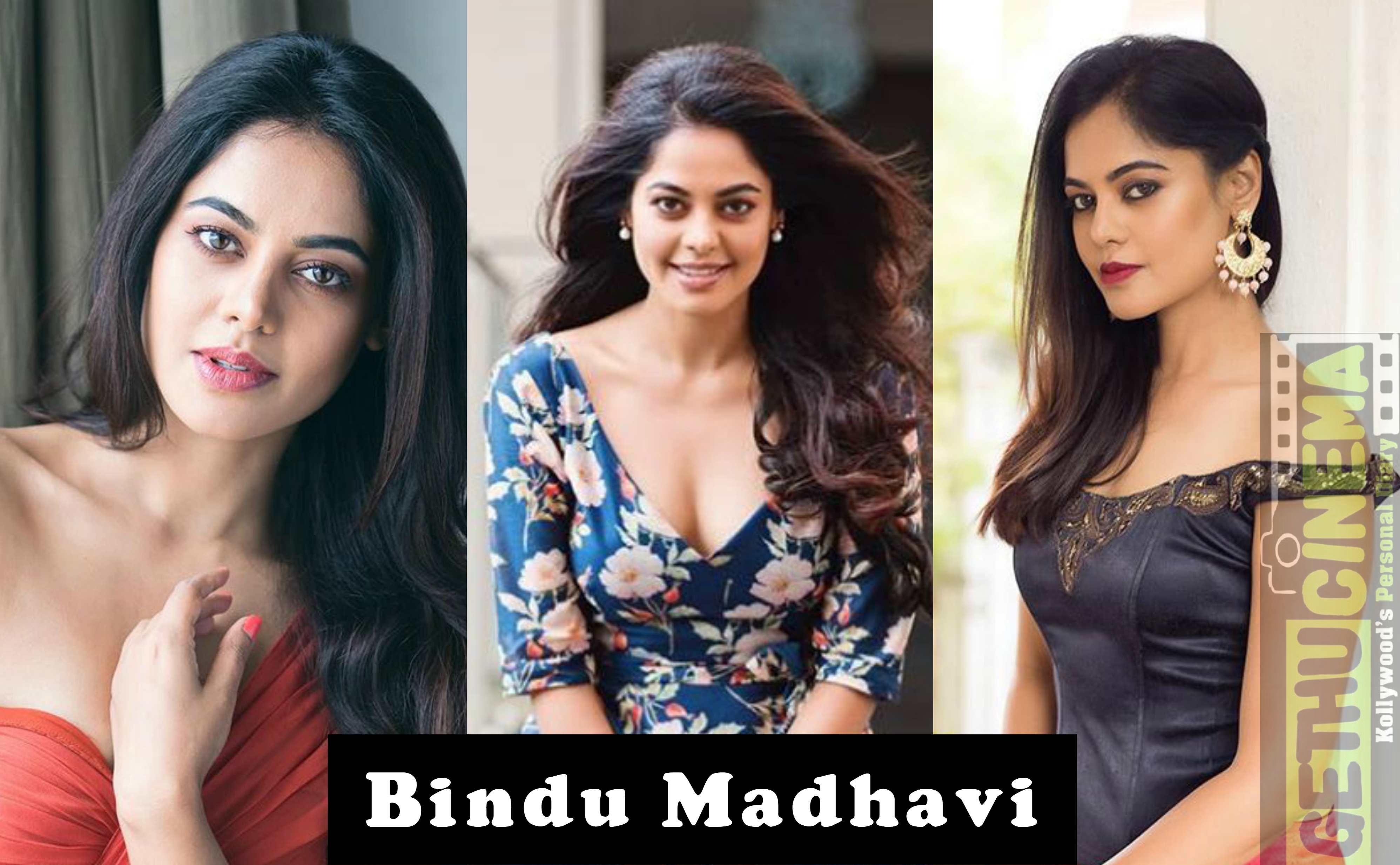 Actress Bindu Madhavi Photos Stills In Sexy Saree