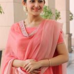 Kadaikutty Singam, Success Meet, Sayyeshaa, hd