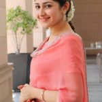 Kadaikutty Singam, Success Meet, recent, Sayyeshaa