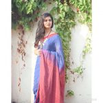 Meenakshi, treditional, saree