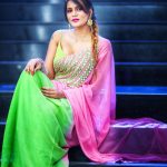 Meera Mitun, full size, latest, saree