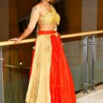 Meera Mitun, large size, event, super