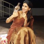 Samantha Akkineni, seema raja, movie, shooting