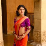 Ashima Narwal, Top Glamour Looks, photo shoot, saree novel