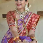 Chandini Tamilarasan, Vandi movie actress, treditional, pattu saree