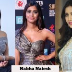 Nabha Natesh, Nannu Dochukunduvate, 2018, hd, wallpaper, collage, cute, glamour