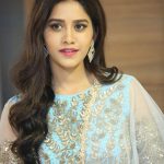 Nabha Natesh, Nannu Dochukunduvate, event, hd, wallpaper