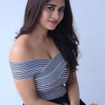 Nabha Natesh, Nannu Dochukunduvate, hair style, glamour, actress