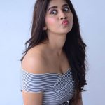 Nabha Natesh, Nannu Dochukunduvate, interview, cute, photo shoot