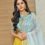 Nabha Natesh, Nannu Dochukunduvate, pre release, event, hd