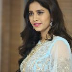 Nabha Natesh, Nannu Dochukunduvate, telugu, actress