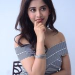 Nabha Natesh, Nannu Dochukunduvate, unseen, glamour, event, photoshoot