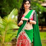 Nannu Dochukunduvate, Nabha Natesh, glamour, tollywood, saree