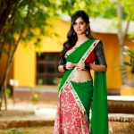 Nannu Dochukunduvate, Nabha Natesh, large size, tollywood, heroine