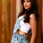 Nannu Dochukunduvate, Nabha Natesh, rare, photoshoot, telugu