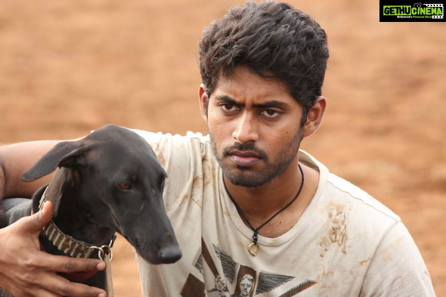 Kathir & Anandhi HD Stills From Pariyerum Perumal Movie - Gethu Cinema