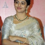 Pariyerum Perumal, press meet, recent, anandhi