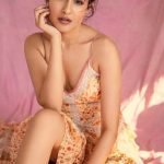 Pragya Jaiswal, fashion dress, fancy