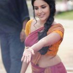 Priya Anand, Kayamkulam Kochunni malaiyalam heroine, red saree, spicy