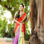 Vani Bhojan, saree, large size, photoshoot