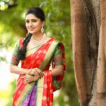 Vani Bhojan, saree,colourful, cute, latest, Kings of Comedy Juniorsis